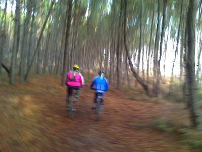 Mufloni e Leprotti... foresta