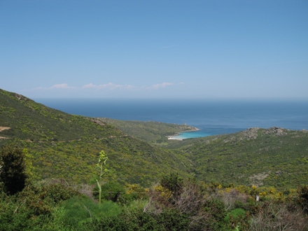 Senza parole panoramasinara