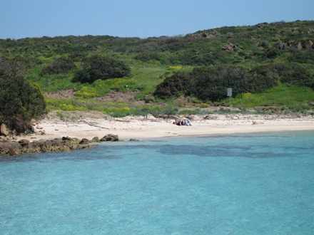 Animalucci al sole sararemosole