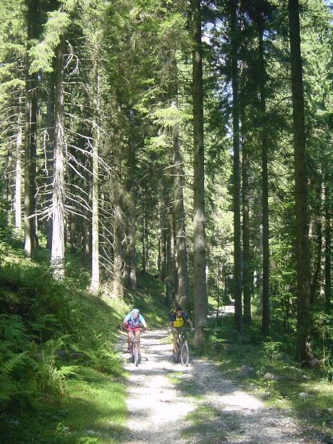 100KmForti03-015.jpg