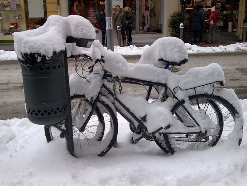 bicineve.jpg