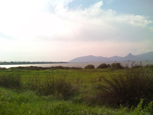images/stories/2011_4/panosardo.jpg