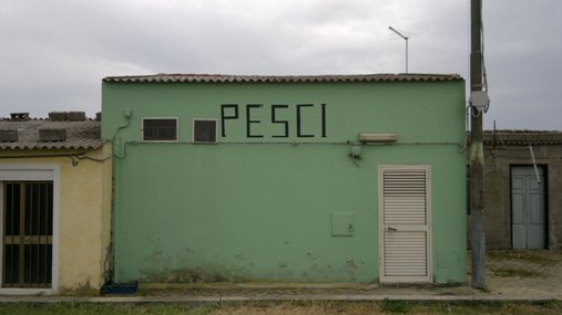 images/stories/2011_4/pesci.jpg