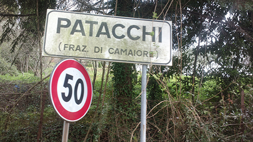 Tifosi